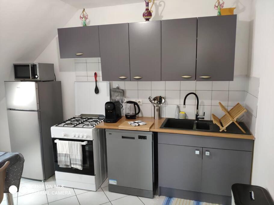 Joli Appartement Avec Place De Parking Prive กอลมาร์ ภายนอก รูปภาพ