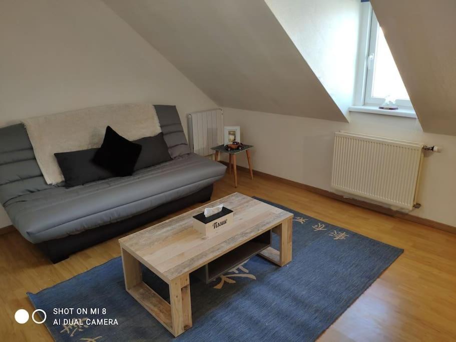 Joli Appartement Avec Place De Parking Prive กอลมาร์ ภายนอก รูปภาพ